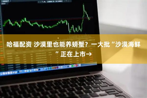 哈福配资 沙漠里也能养螃蟹？一大批“沙漠海鲜”正在上市→