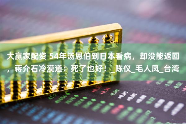 大赢家配资 54年汤恩伯到日本看病，却没能返回，蒋介石冷漠道：死了也好！_陈仪_毛人凤_台湾