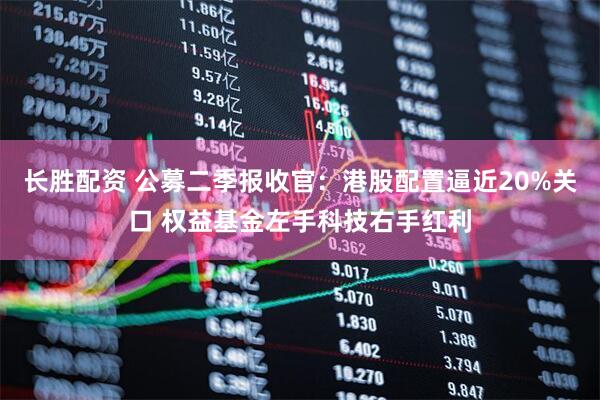 长胜配资 公募二季报收官：港股配置逼近20%关口 权益基金左手科技右手红利